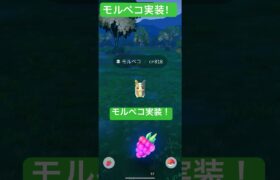 ポケモンGOにモルペコ！#shorts #shortsvideo #ポケモンgo #short