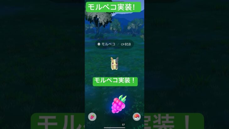 ポケモンGOにモルペコ！#shorts #shortsvideo #ポケモンgo #short