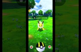 Great Throw! Catch Jolteon Today in Pokemon GO Indonesia | #Shorts #Jolteon #PokemonGOGameplay