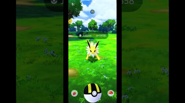 Great Throw! Catch Jolteon Today in Pokemon GO Indonesia | #Shorts #Jolteon #PokemonGOGameplay