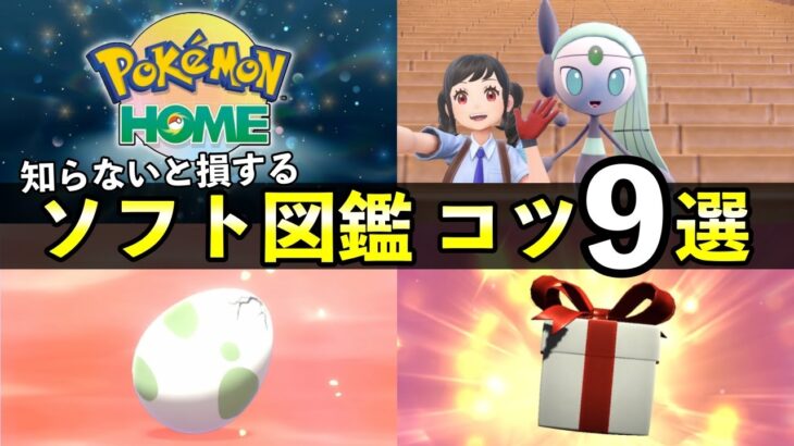 知って得する『ソフト図鑑』埋め方９選！効率の良い図鑑完成方法と仕様【ポケモンHOME/ポケモンSV】