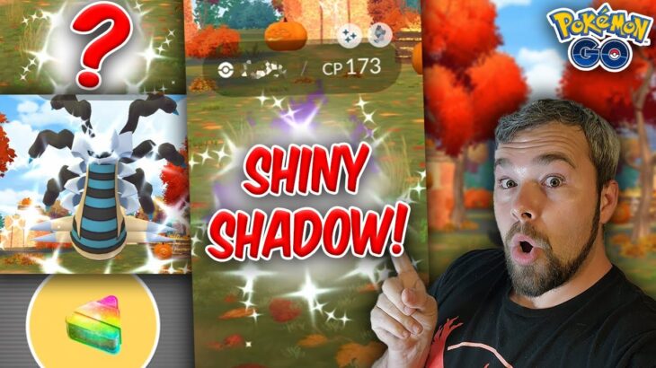 Halloween Event Shiny Grind! We Got VERY Lucky! (Pokémon GO)