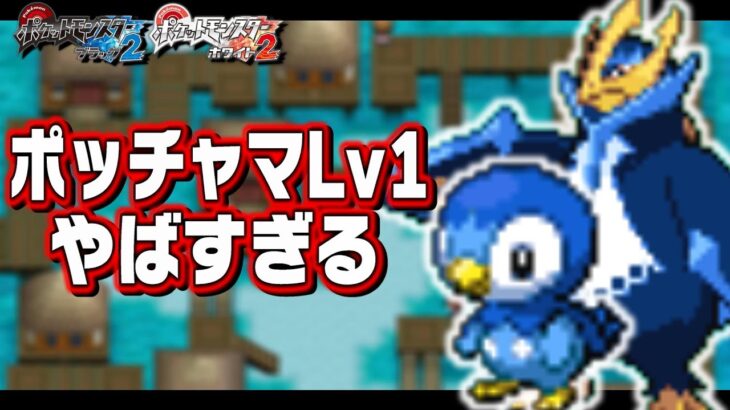 ポッチャマLv1がイッシュ地方の最初のポケモンだったら