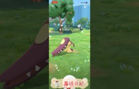 Pokémon GO 道館-Mega大嘴娃（色違）超進化成超級大嘴娃