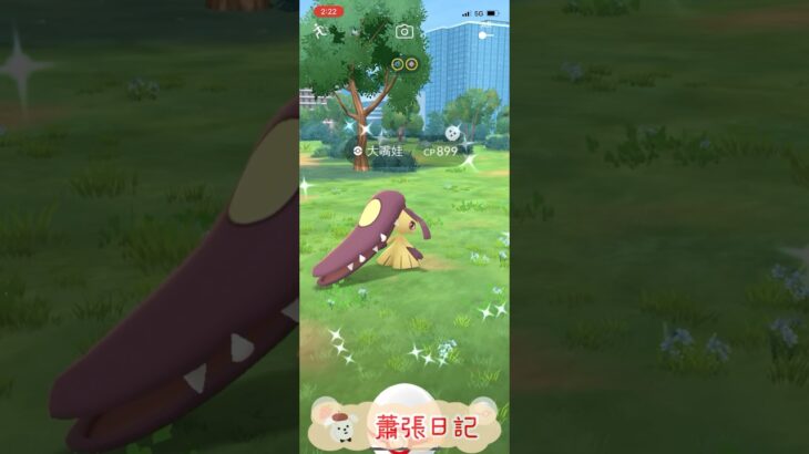 Pokémon GO 道館-Mega大嘴娃（色違）超進化成超級大嘴娃