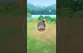 Pokémon Go In 2024 #shorts #gameplay #pokemon #pokemongo #fyp #foryou #foryoupage