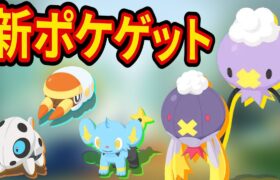 突然の新ポケモン「フワンテ」をゲットする睡眠リサーチ配信【ポケモンスリープ】【ポケスリ】【Pokémon Sleep】