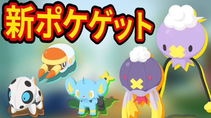 突然の新ポケモン「フワンテ」をゲットする睡眠リサーチ配信【ポケモンスリープ】【ポケスリ】【Pokémon Sleep】