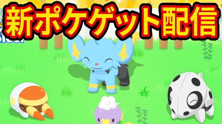 新ポケモン出現率アップキャンペーンで最強のコーヒー要員をゲットする睡眠リサーチ配信【ポケモンスリープ】【ポケスリ】【Pokémon Sleep】