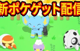 新ポケモン出現率アップキャンペーンで最強のコーヒー要員をゲットする睡眠リサーチ配信【ポケモンスリープ】【ポケスリ】【Pokémon Sleep】