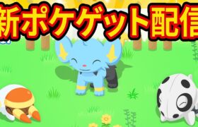 新ポケモン出現率アップキャンペーンで最強のコーヒー要員をゲットする睡眠リサーチ配信【ポケモンスリープ】【ポケスリ】【Pokémon Sleep】