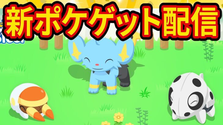 新ポケモン出現率アップキャンペーンで最強のコーヒー要員をゲットする睡眠リサーチ配信【ポケモンスリープ】【ポケスリ】【Pokémon Sleep】