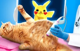 Pregnant With Pokemon 💥 Hacks and Gadgets For Pet Owners 😻