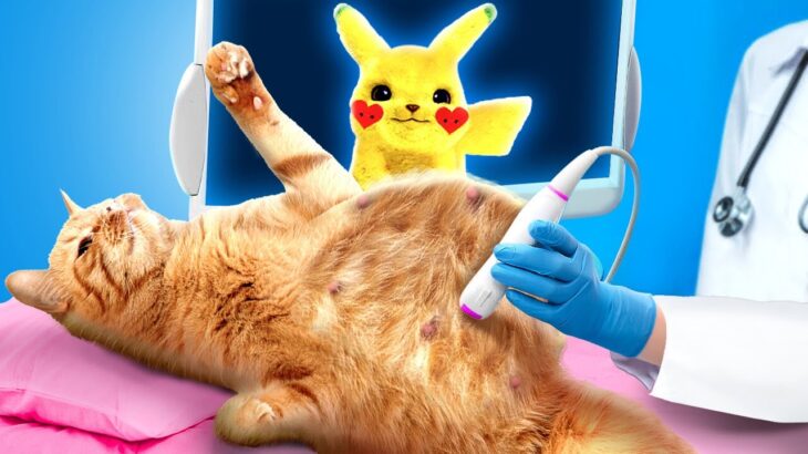 Pregnant With Pokemon 💥 Hacks and Gadgets For Pet Owners 😻