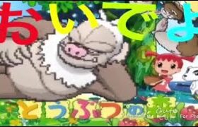 【タイプ統一】ケッキングと楽しむランクバトル配信【＃ポケモンSV 】