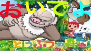 【タイプ統一】ケッキングと楽しむランクバトル配信【＃ポケモンSV 】