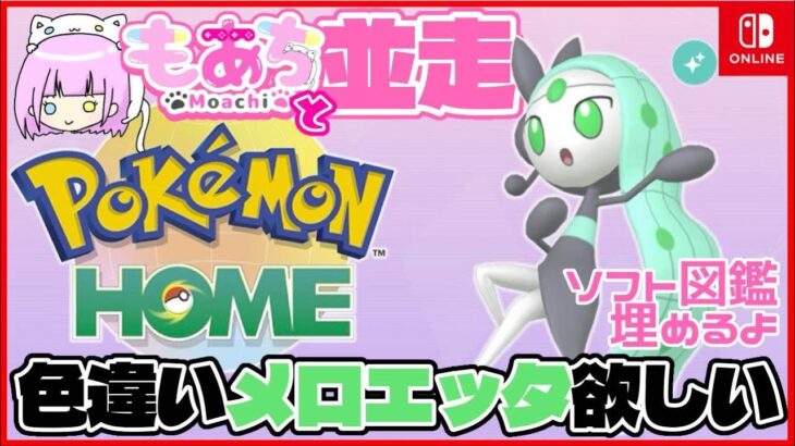 【 #ポケモンSV 】色違いメロエッタが欲しい【もあちとソフト図鑑埋め並走しよ】