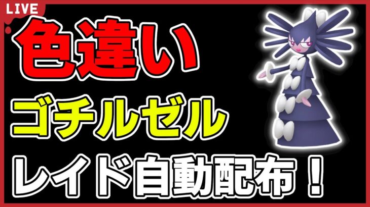 【ワンパン最速】色違いゴチルゼルレイド自動配布！【ポケモンSV】#1