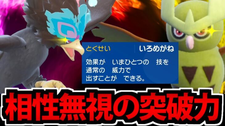 【ポケモンSV】半減不可の突破力!!「いろめがね」のウォーグル&ヨルノズク!!【飛行統一#8】