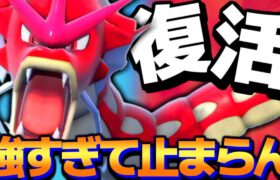 【ポケモンSV】この環境で火力に超特化した『色違いギャラドス』のパワーやばすぎるｗwwww【 ポケモン ギャラドス  pokemon 新環境  色違い 】