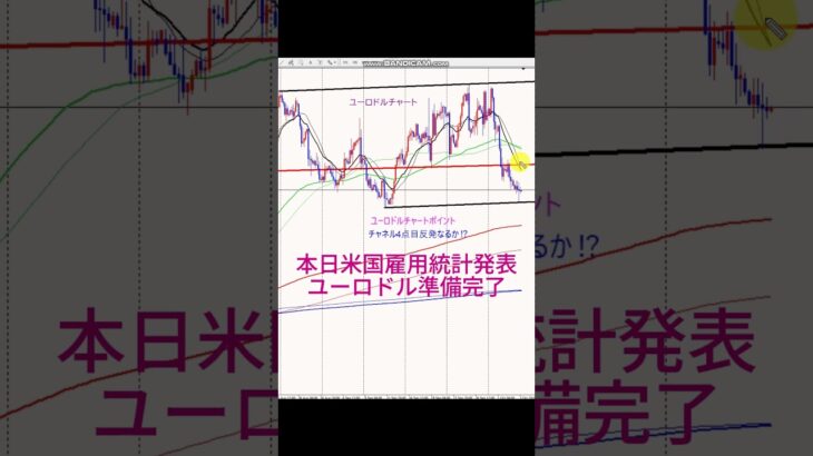 米国雇用統計発表　ユロドル準備完了 #投資 #fx手法 #ポケモン