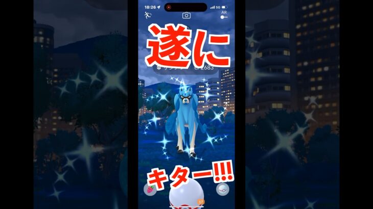 念願！ザシアンの色違い出てはしゃぐ！ #ポケモン #ポケgo #ポケモン#ザシアン