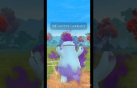 あああああ！#ポケモンgo #陽光カップ