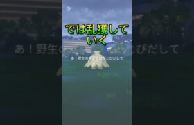 キノココスポライの結果！#ポケモンgo #イベント