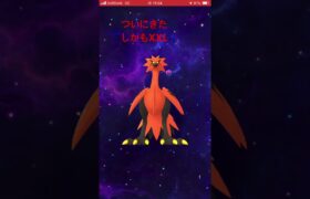 ゲットの瞬間 #ゲーム #バズれ #ポケモンgo