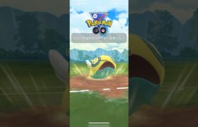 ガラルマタドガス出番なし　#ポケモンgo #gbl #スーパーリーグ