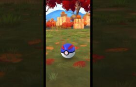 ポケモンgo ゾロア厳選効率化 #ポケモンgo色違い #ゾロア色違い #ゾロア