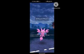 #ポケモンgo #ポケモンgoバトルリーグ