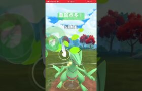 #ポケモンgo #ジュカイン #goバトルリーグ