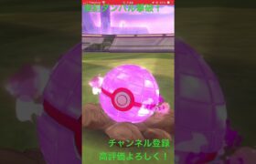 ポケモンgoダンバル復刻撃破 #music #ポケモンgo #pokemongo