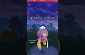 モルペコかわいすぎる#ポケモンgo #ポケモン #pokemongo #ハロウィン#ハロウィンイベント #ハロウィンカップ