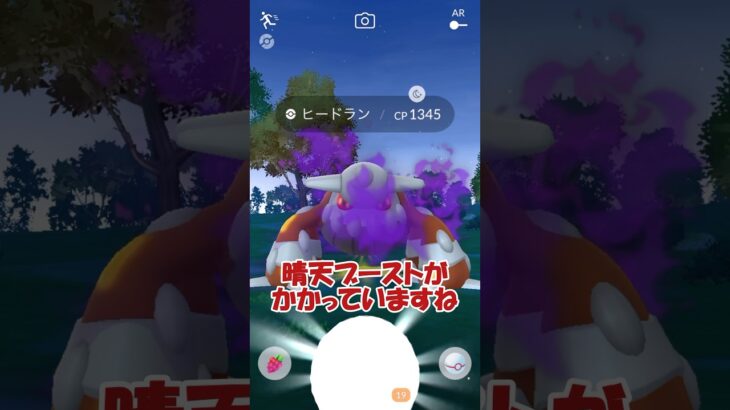 シャドウヒードラン再び🔥🔥個体値は、 #ポケモンgo #pokemongo