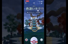 ギラティナレイドアワー色違いキタ⁉︎初心者part45【ポケモンGO】#ポケモンgo #ポケモン #pokemon #pokémongo