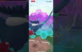 誰もが驚く火力 #pokemongo #pokemon #ポケモンgo #gbl #shorts