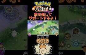 【ポケモンユナイト】敵を倒してサポートするよ❗️#pokemonunite