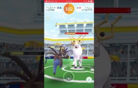 アヤシシ 一人討伐 #short #shorts #ポケモンGO #pokemongo #gbl