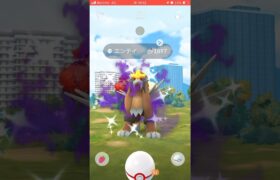 シャドウエンテイレイドでまさかの色違い！？ #short #shorts #ポケモンGO #pokemongo #gbl_gurbani