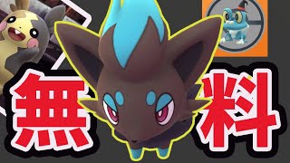 【神速報】あの激レアの色違い確率アップ！更に新ポケモン無料チャンス【最新ハロウィン情報】