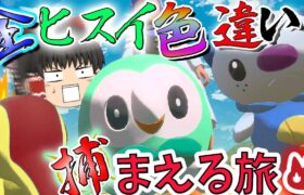 真？！全「オヤブン」ヒスイ色違い捕まえる旅！　パート１【ポケモン】