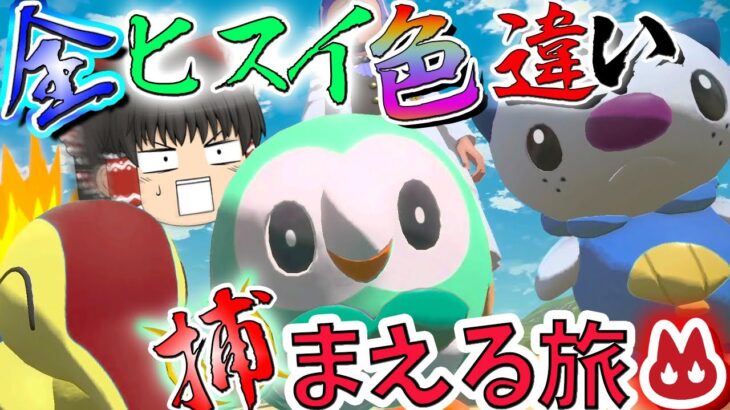 真？！全「オヤブン」ヒスイ色違い捕まえる旅！　パート１【ポケモン】