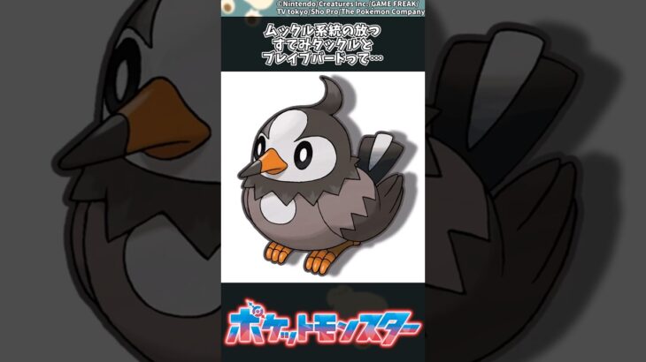 【ポケモン】ムックル系統の放つすてみタックルとブレイブバードって… #ポケモン #反応集