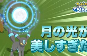 【ポケモンスリープ】アプデで強化された、つきのひかりブラッキーを実際にお手伝いさせてみた！！