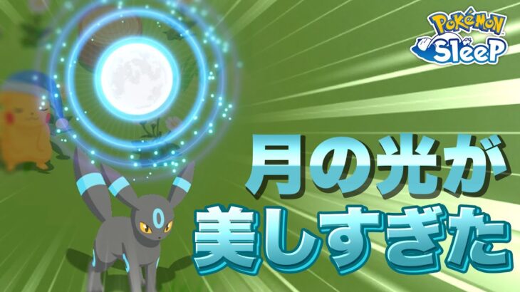 【ポケモンスリープ】アプデで強化された、つきのひかりブラッキーを実際にお手伝いさせてみた！！