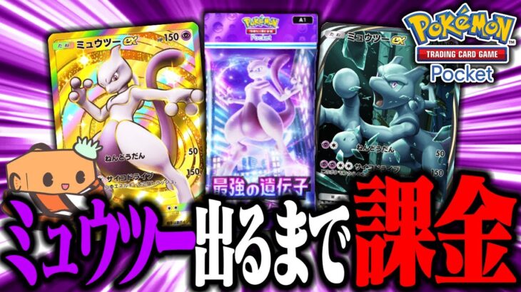 【生放送】今日出たばっかの神ゲー『ポケモンカードポケット』でミュウツーの高レア出るまでガチャ回すぞ！！！　【ポケポケ】