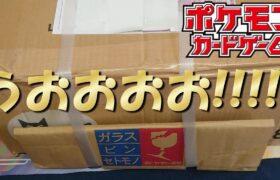 ポケモンカードの引退品を開封したら爆アドだった！