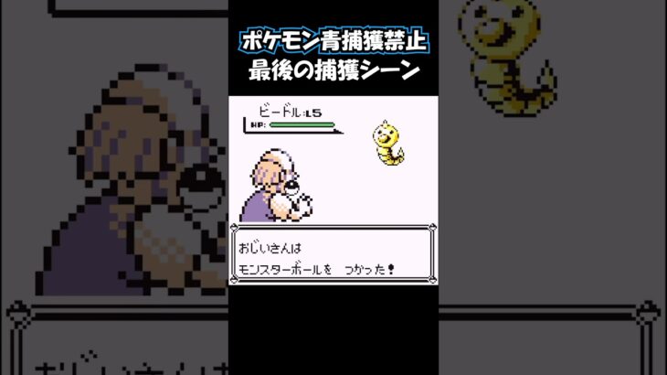 最初で最後の捕獲シーン #ポケモン